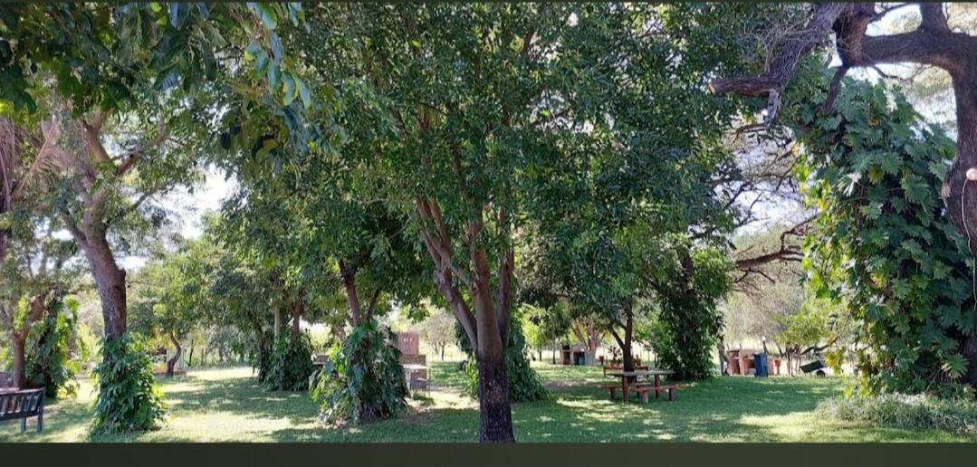 Camp Hogo Kavango Rundu Exterior foto