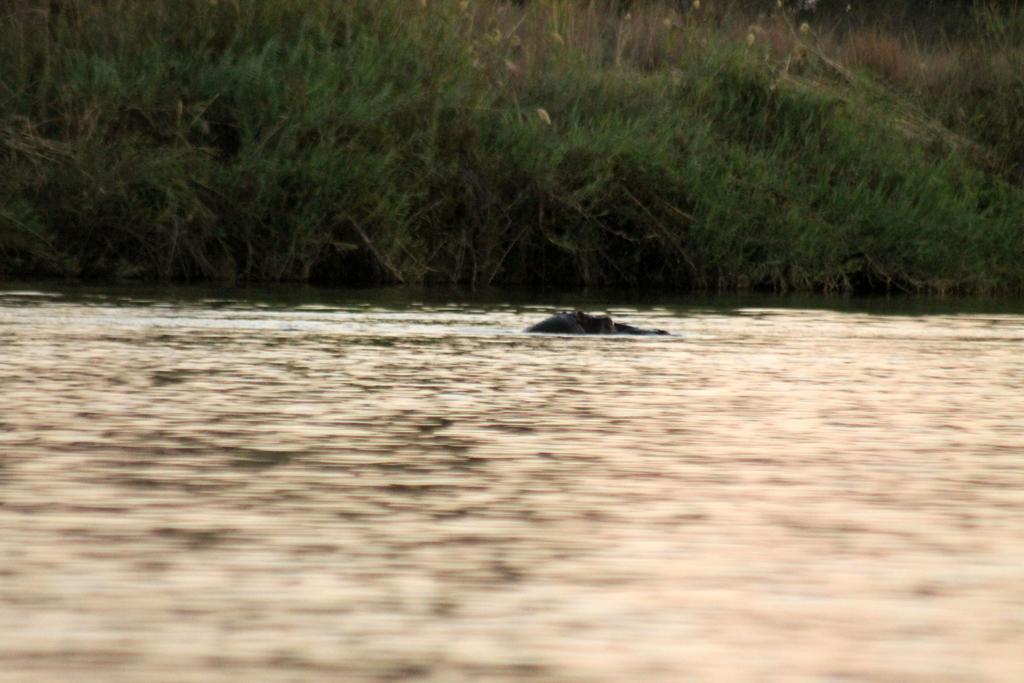 Camp Hogo Kavango Rundu Exterior foto