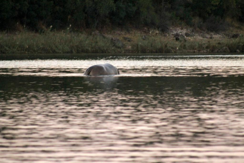 Camp Hogo Kavango Rundu Exterior foto